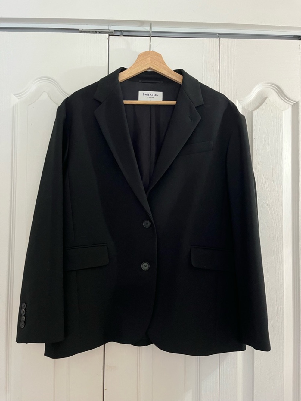 Aritzia Babaton Blazer